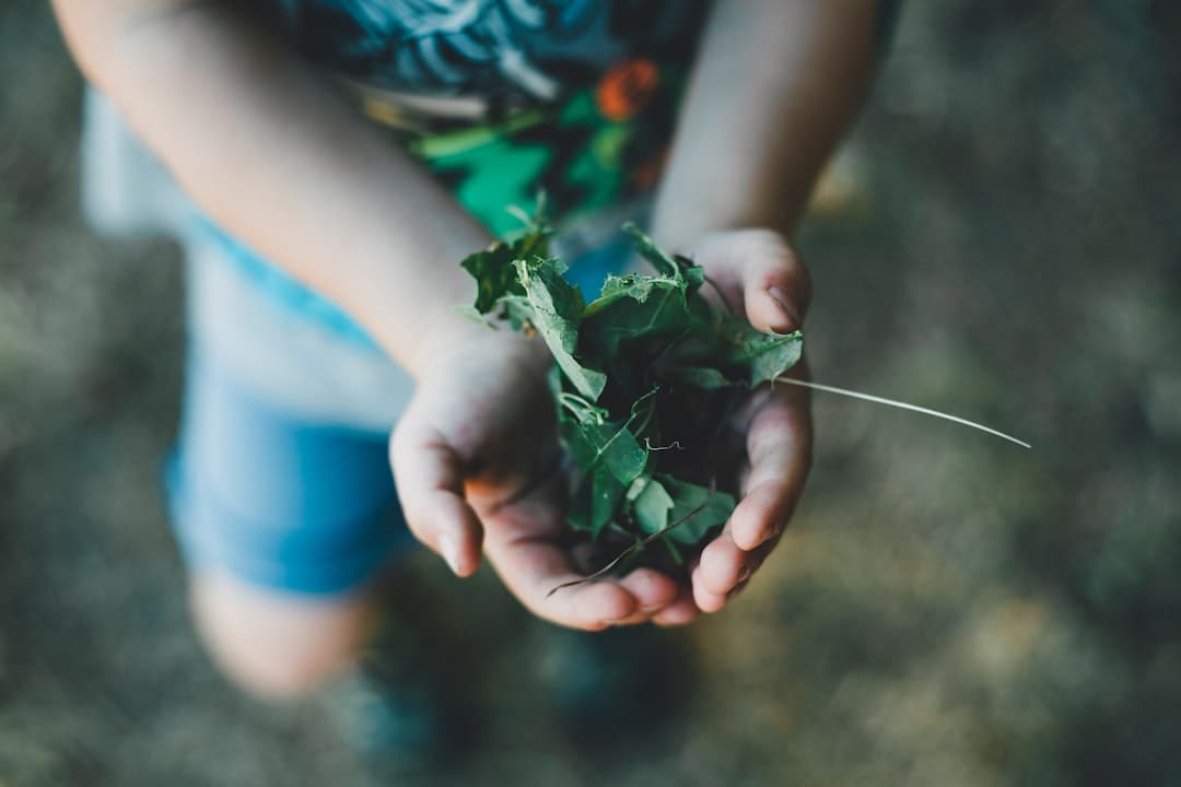 Garden / outdoor play